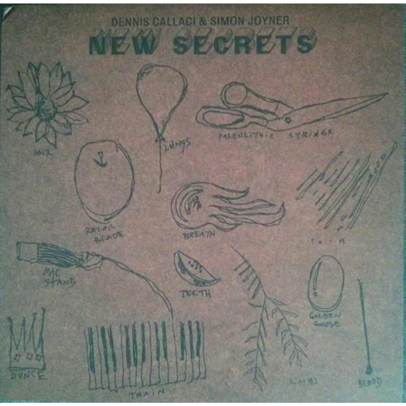 Simon Joyner NEW SECRETS Vinyl Record