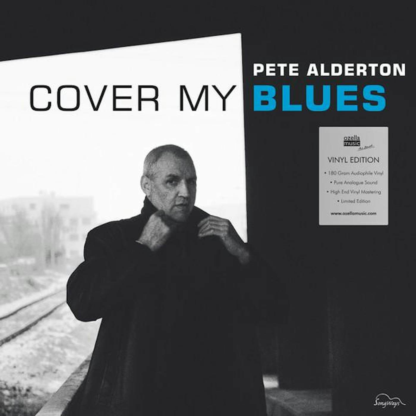 Pete Alderton COVER MY BLUES Vinyl Record