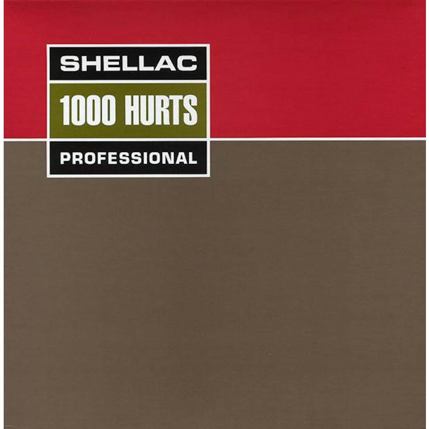 Shellac 1000 HURTS Vinyl Record