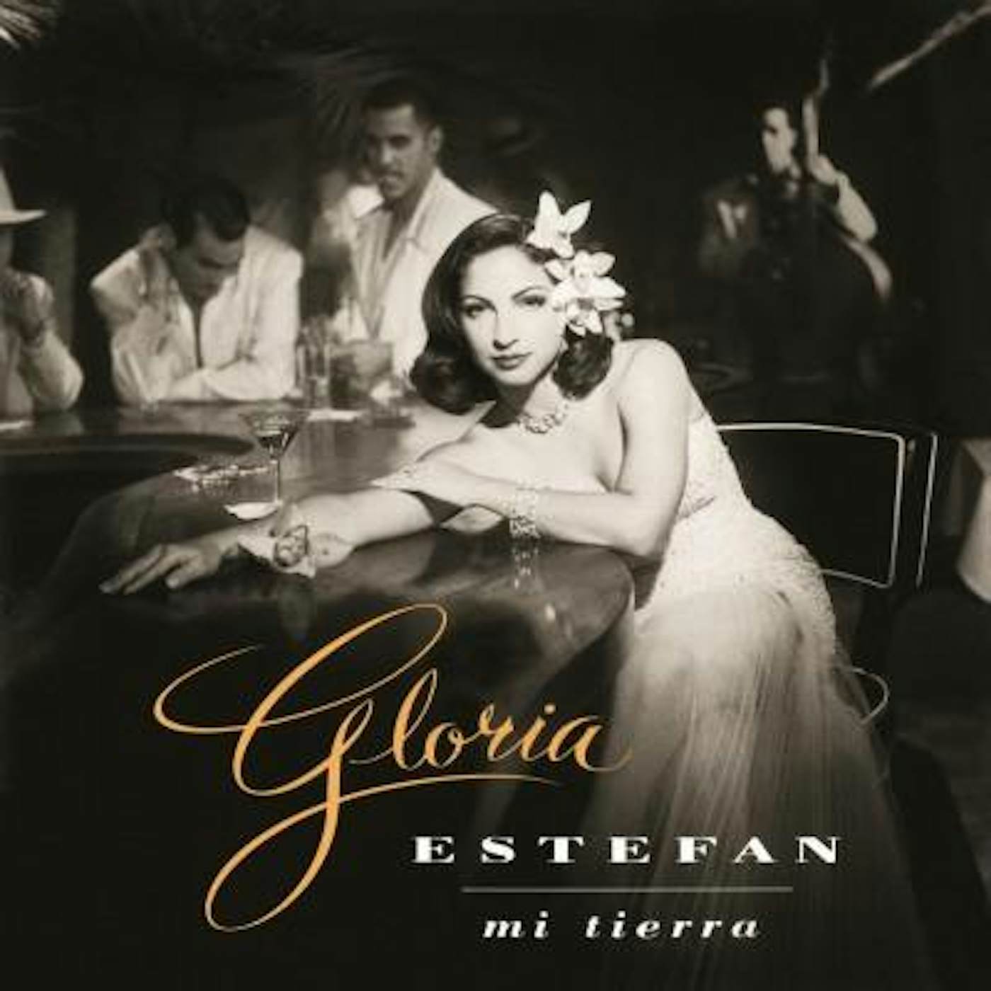 Gloria Estefan MI TIERRA (180G) Vinyl Record