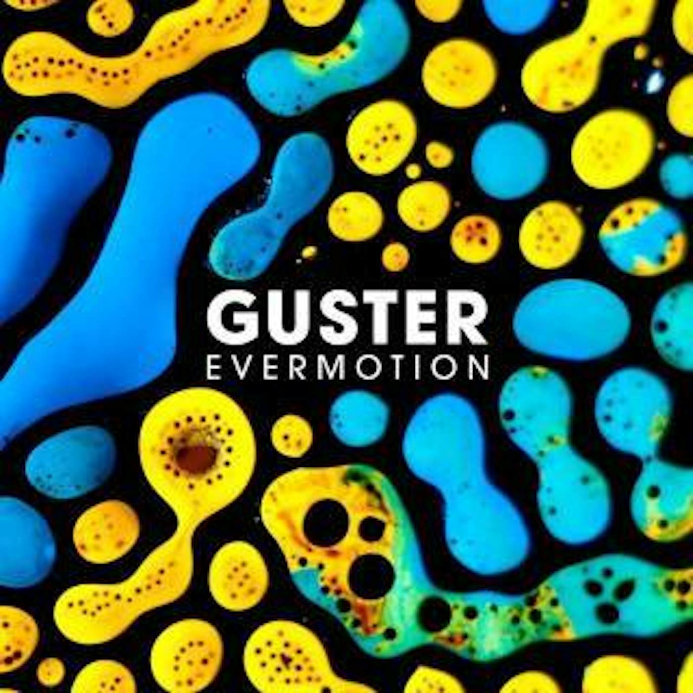 Guster EVERMOTION Vinyl Record
