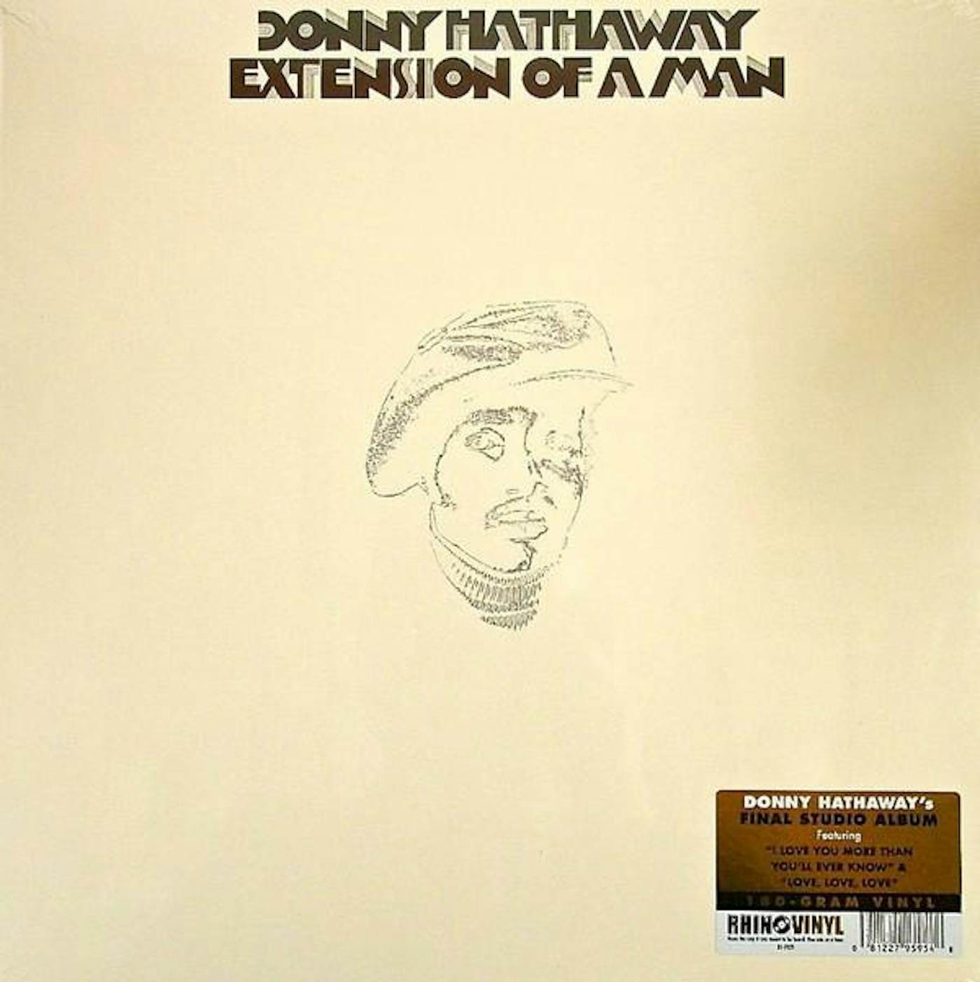 EXTENSION OF A MAN Vinyl Record - Donny Hathaway