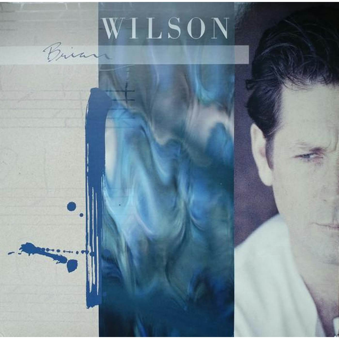 BRIAN WILSON (EXTENDED/BLUE & WHITE SWIRL) Vinyl Record