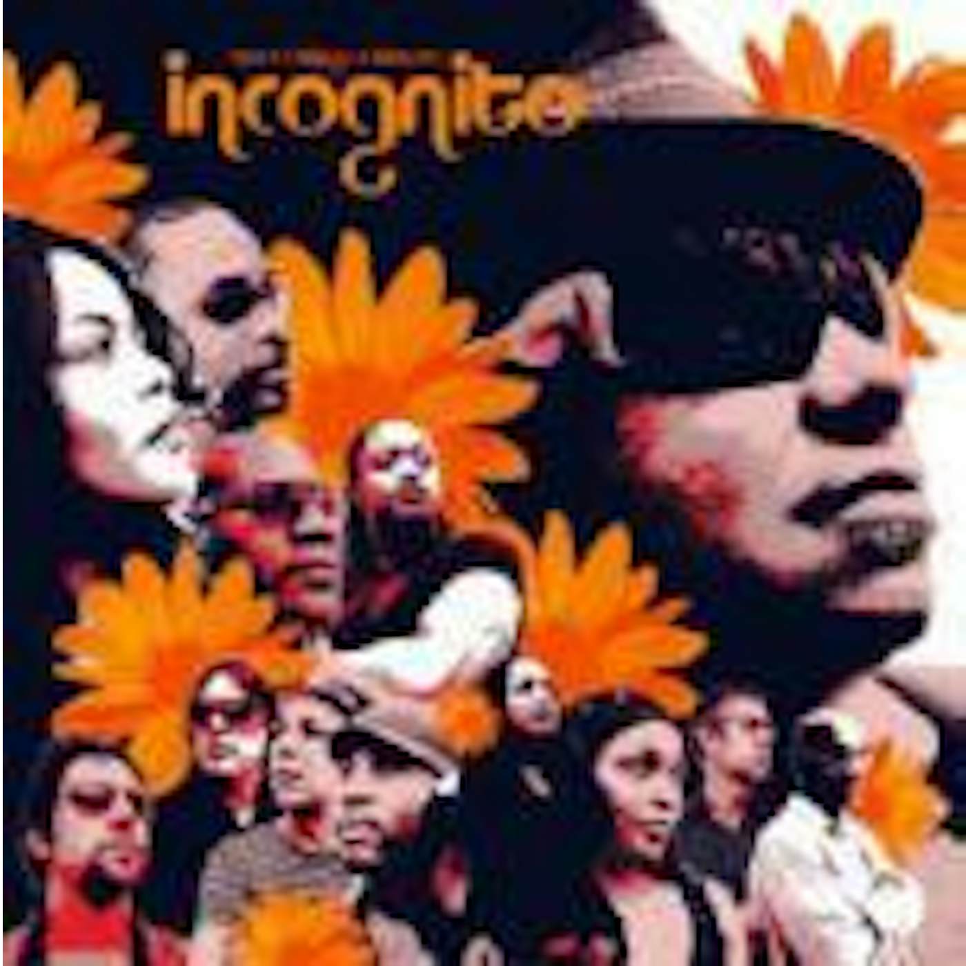 Incognito BEES AND THINGS AND FLOWERS CD