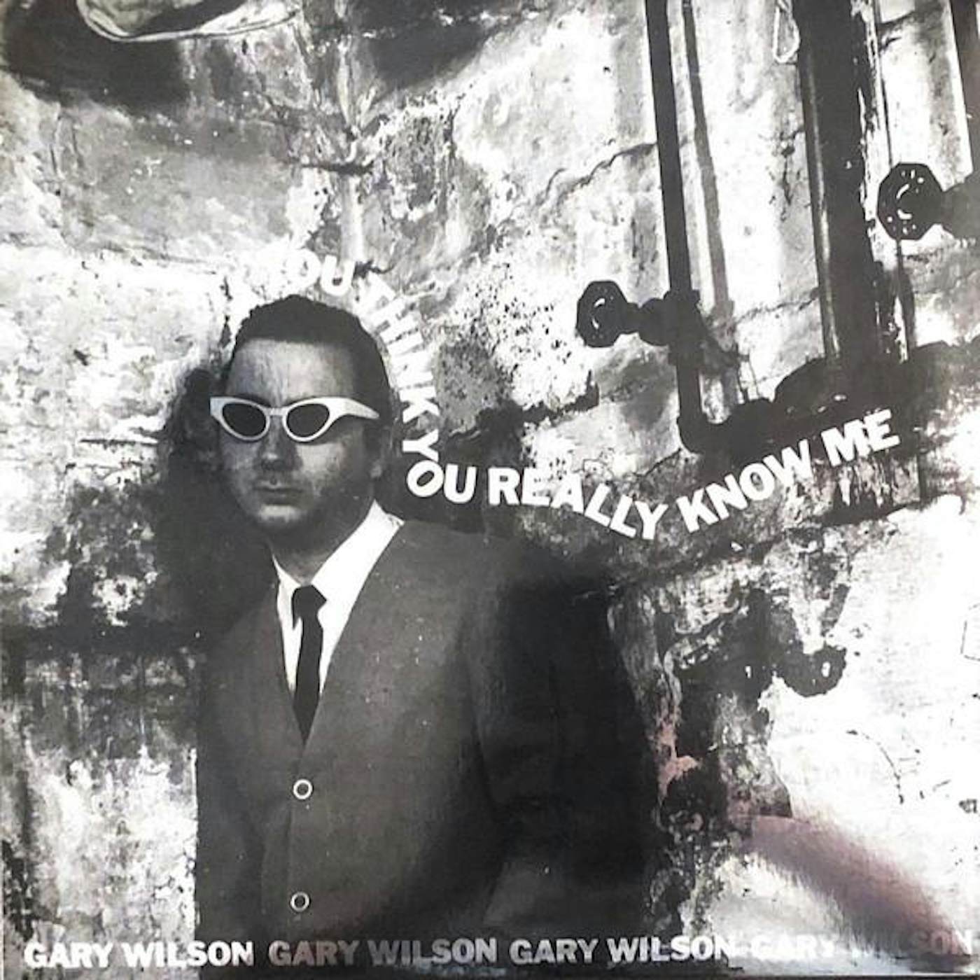 Gary Wilson You Think You Really Know Me Vinyl Record