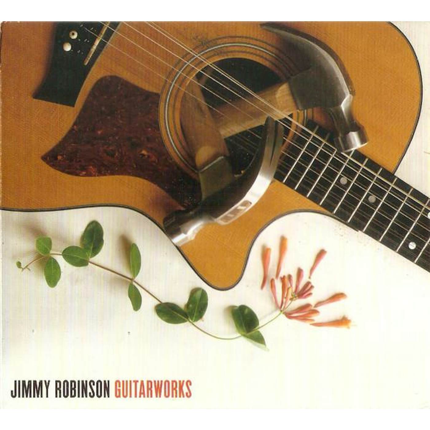 Jimmy Robinson Guitarworks CD