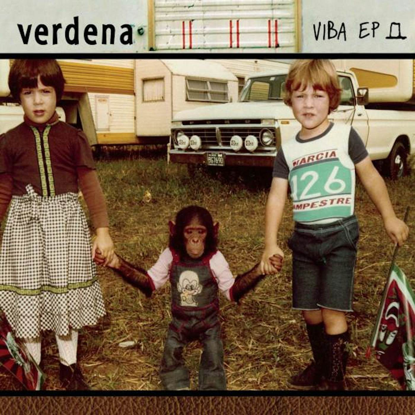 Verdena Viba Vinyl Record