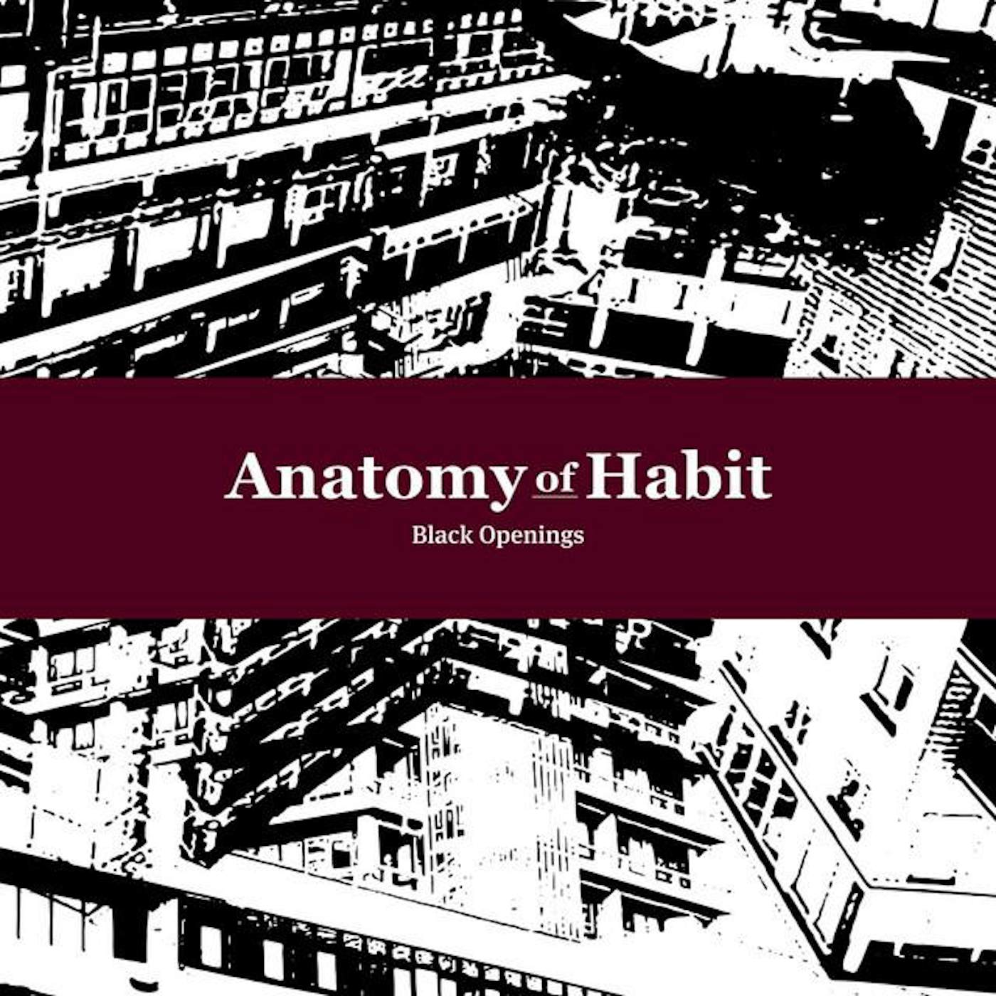 Anatomy Of Habit