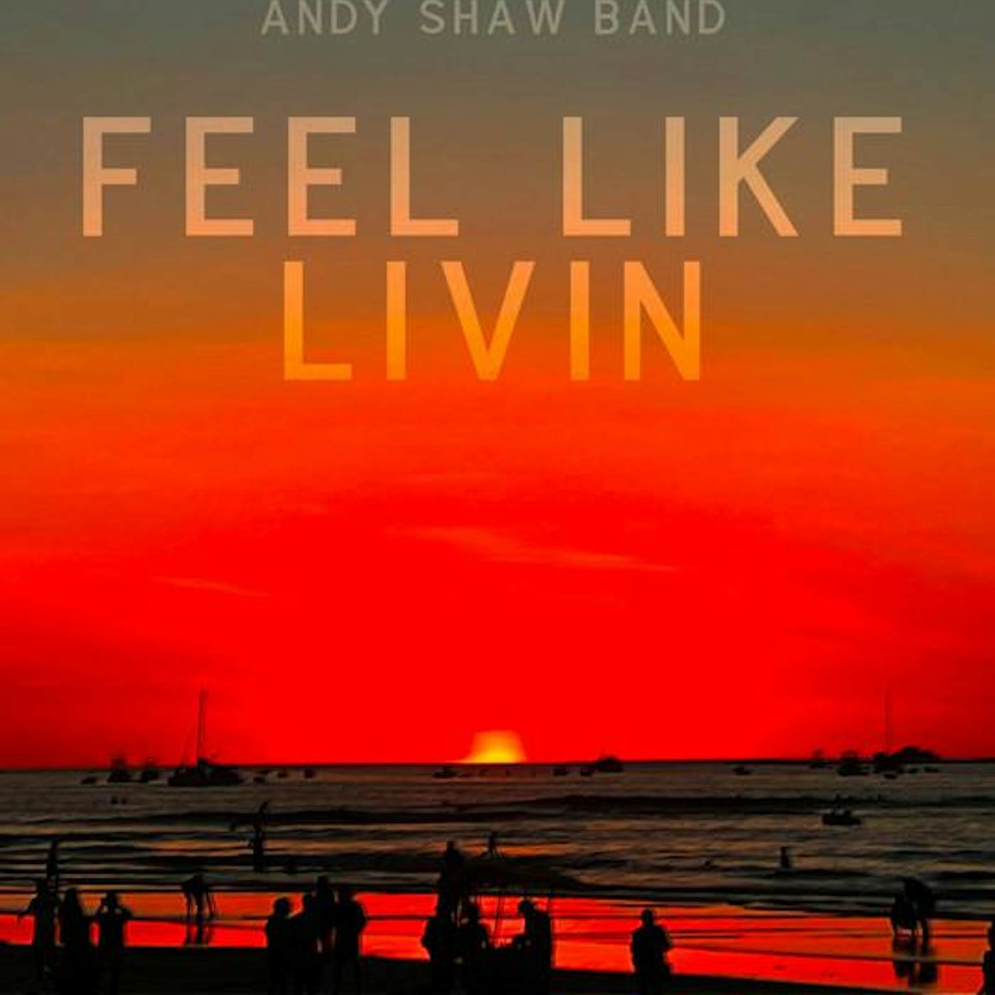 Andy Shaw Band