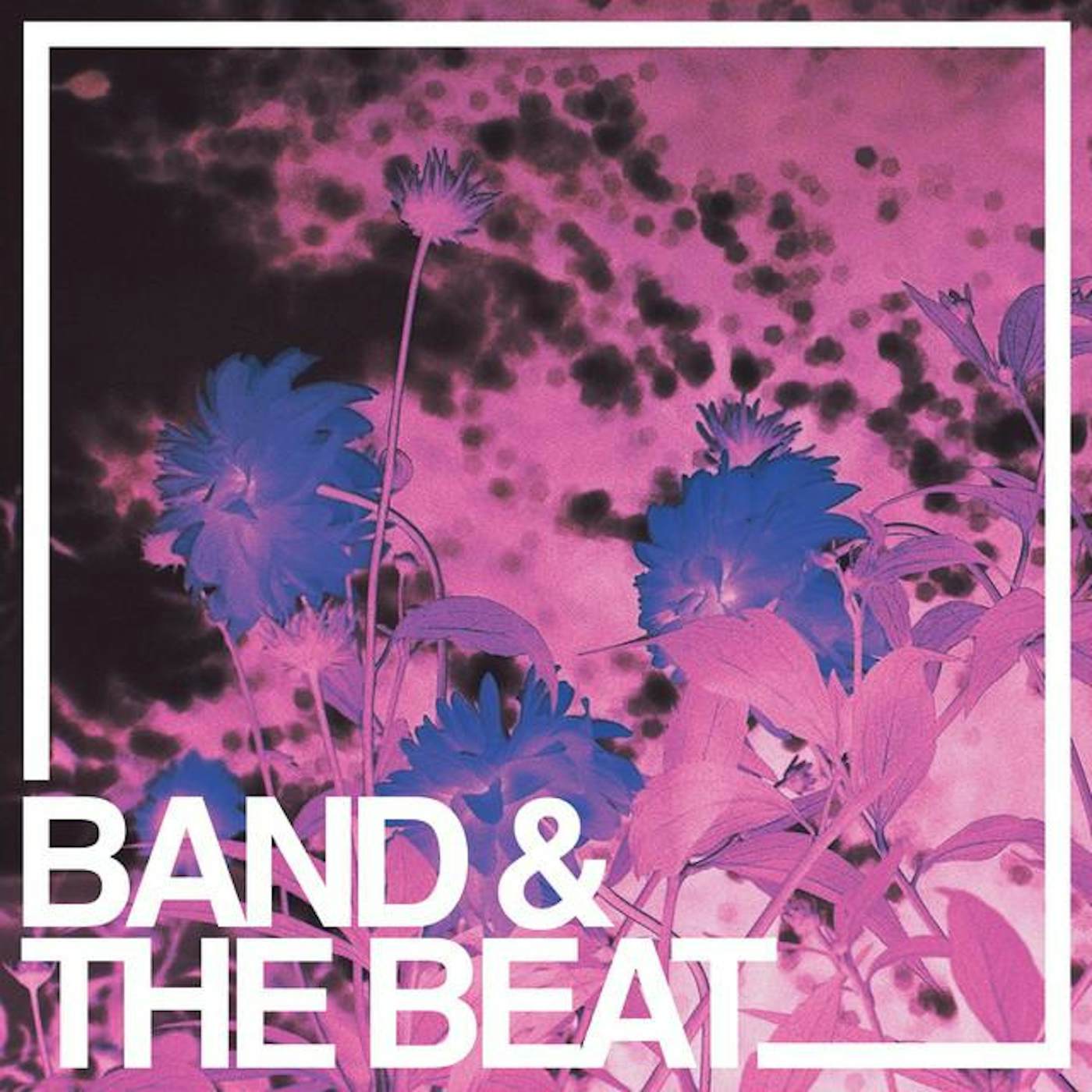Band & The Beat