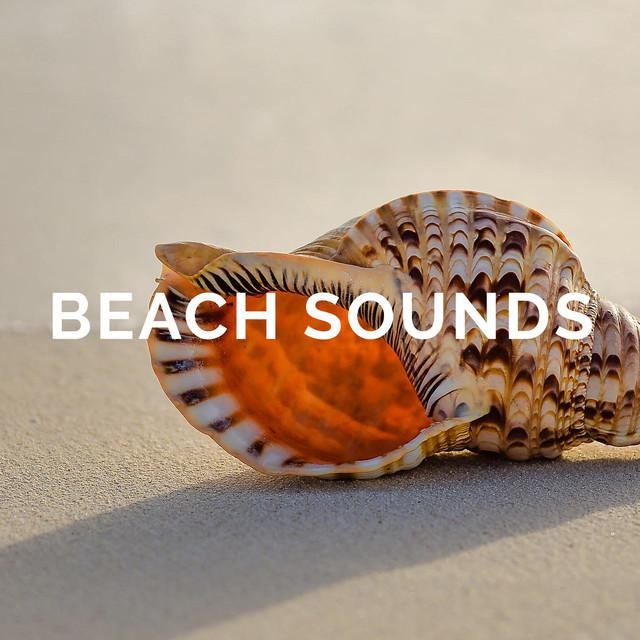 Beach Sounds Store Official Merch & Vinyl