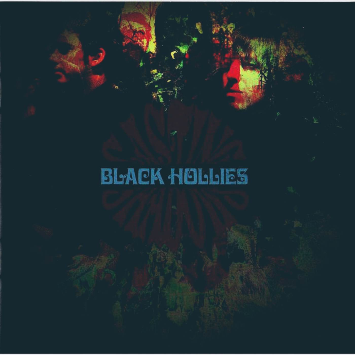 Black Hollies