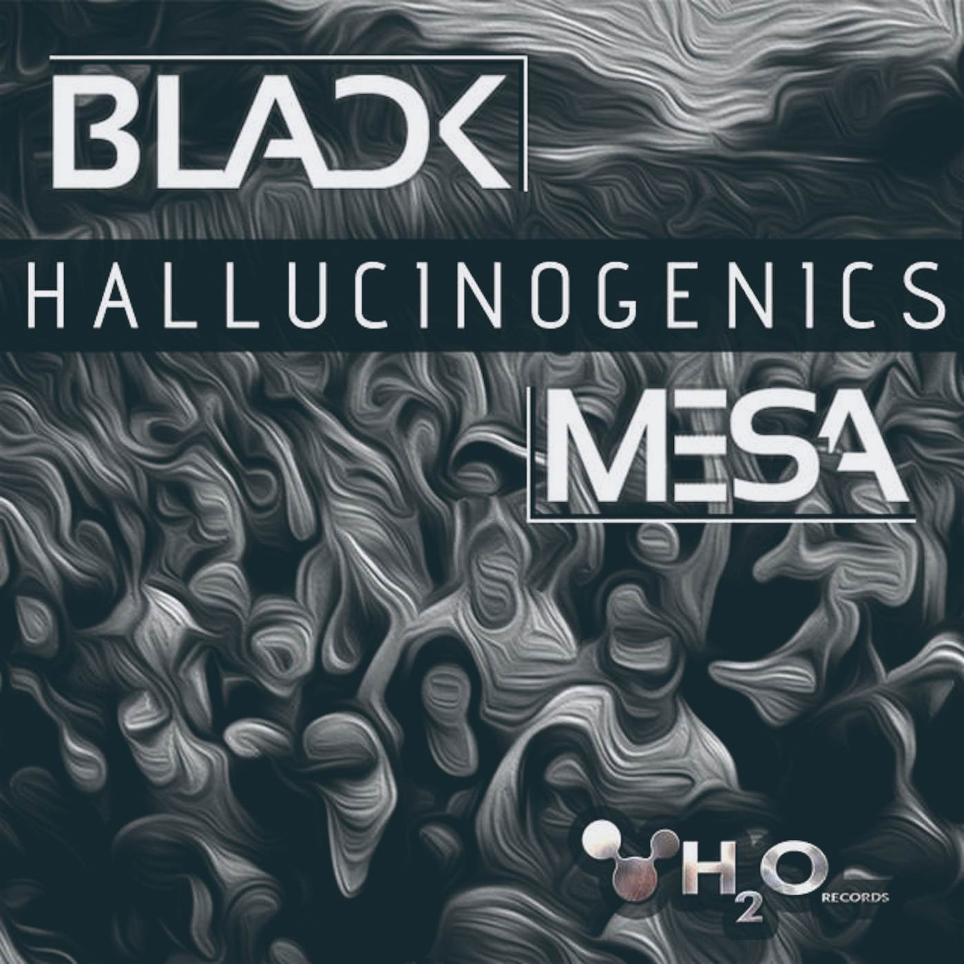 Black Mesa Records 