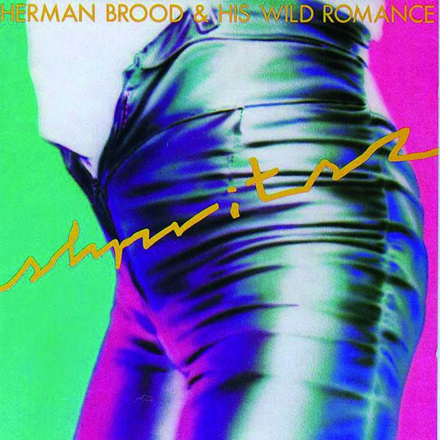 Herman Brood & His Wild Romance