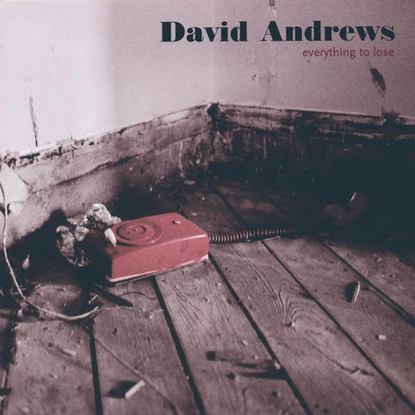 David Andrews