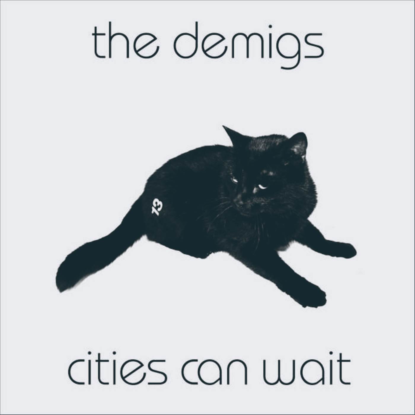 The Demigs