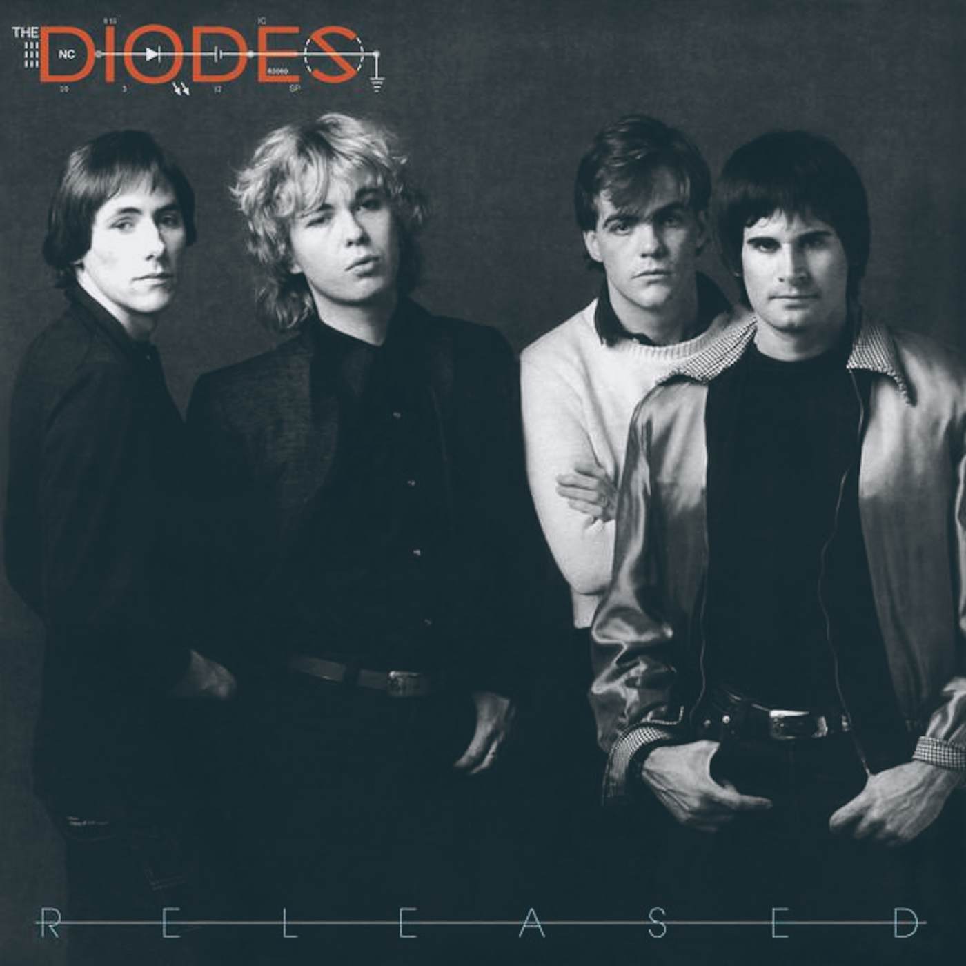 The Diodes