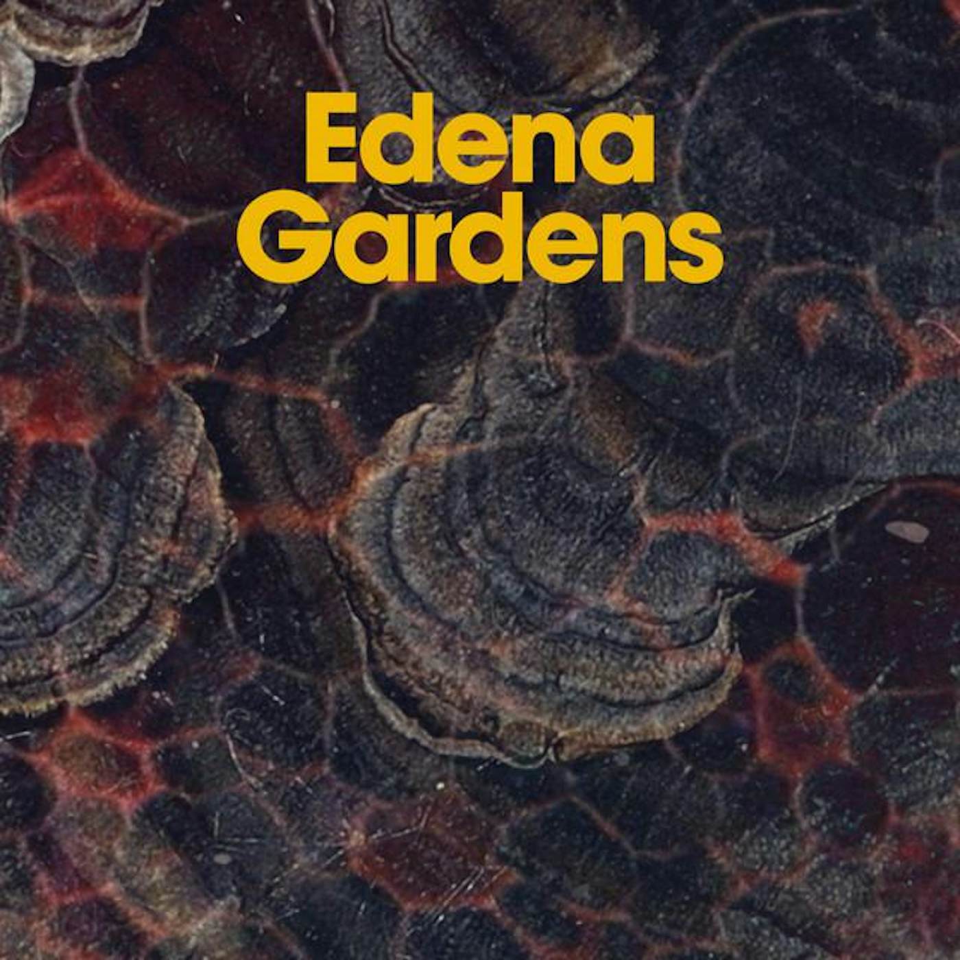 Edena Gardens