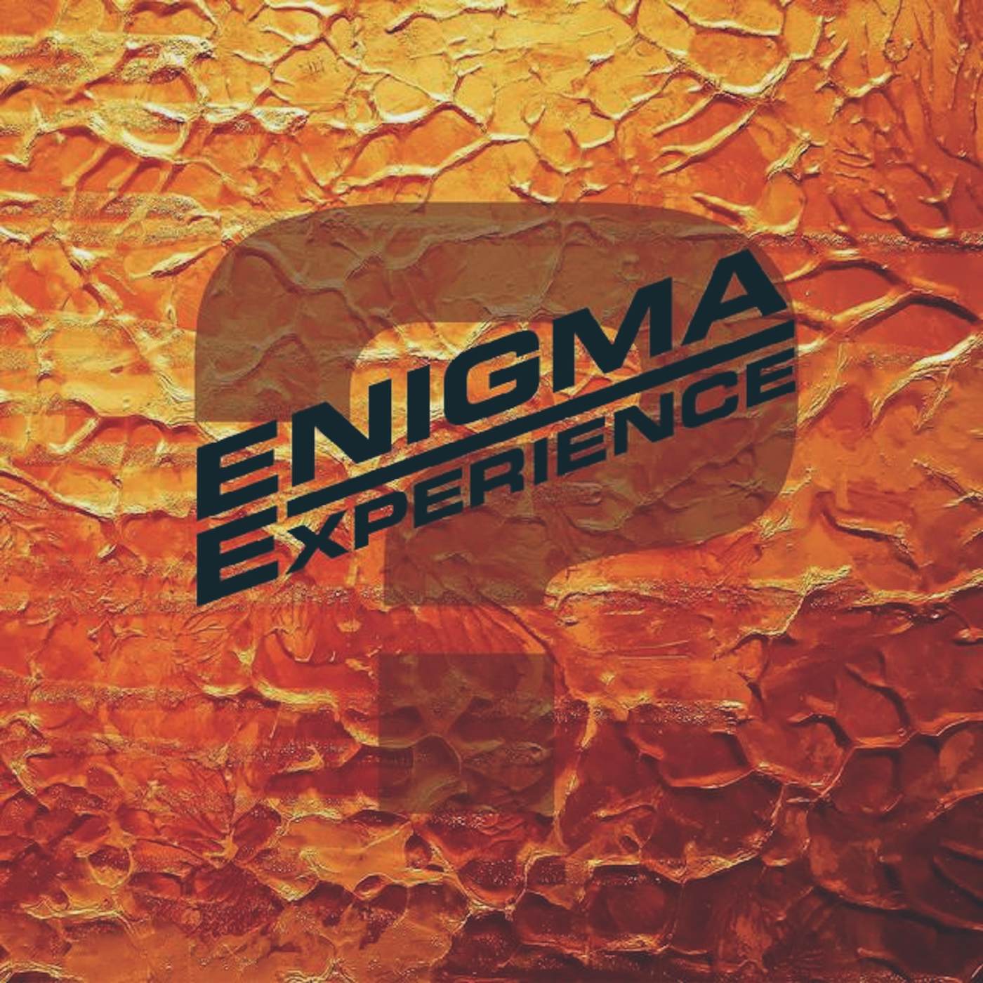 Enigma Experience