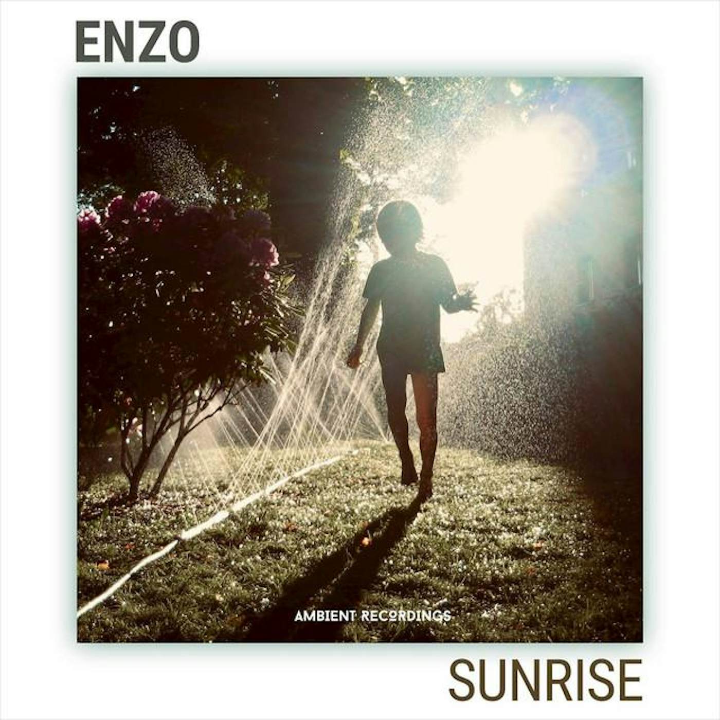 Enzo Enzo