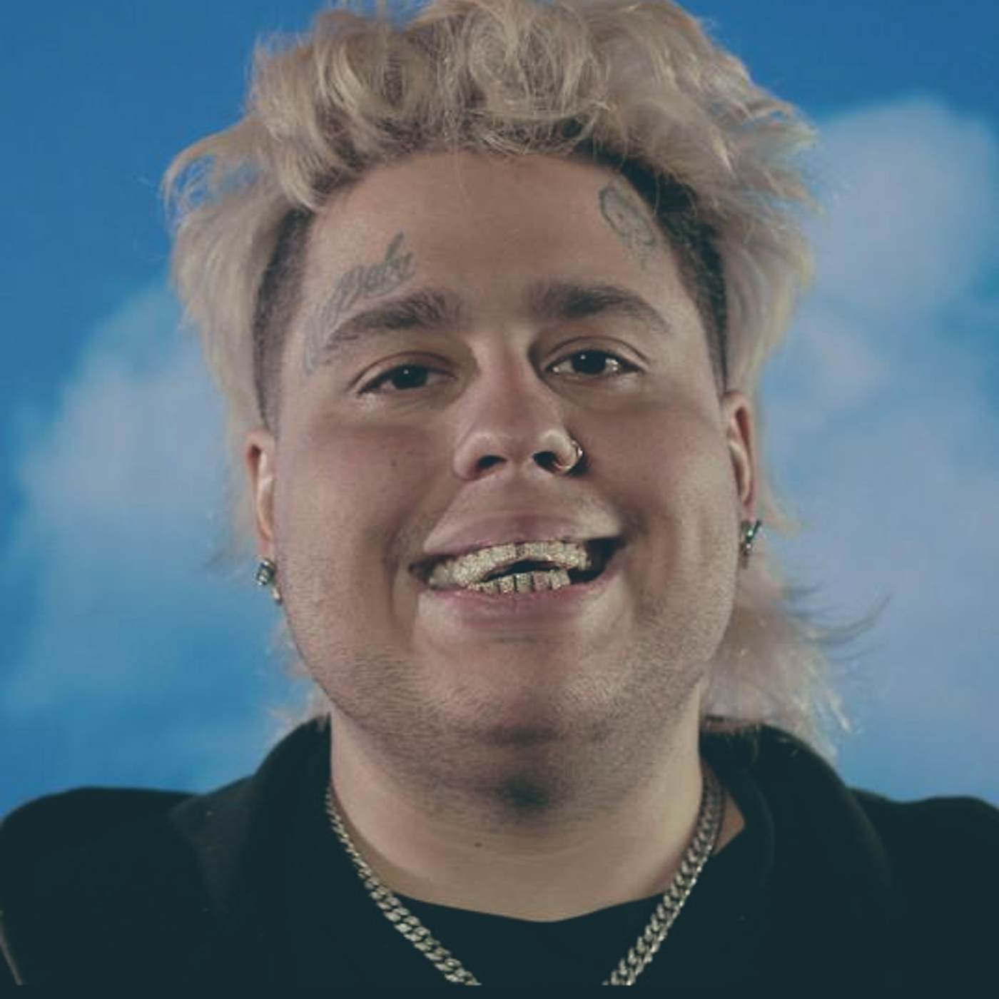 Fat Nick Shirts, Fat Nick Merch, Fat Nick Hoodies, Fat Nick Vinyl ...