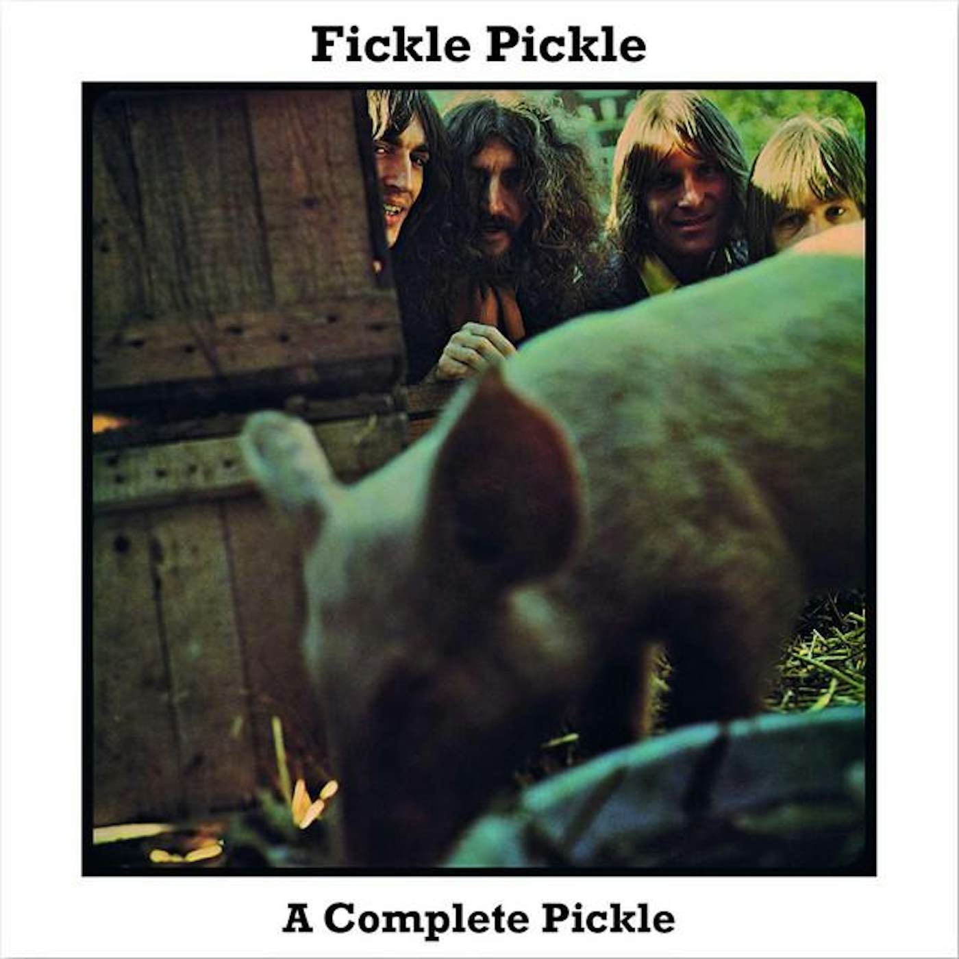 Fickle Pickle