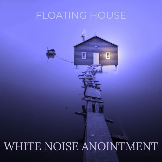 Floating House Store Official Merch & Vinyl