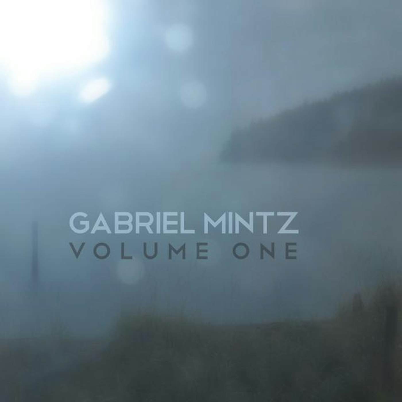 Gabriel Mintz