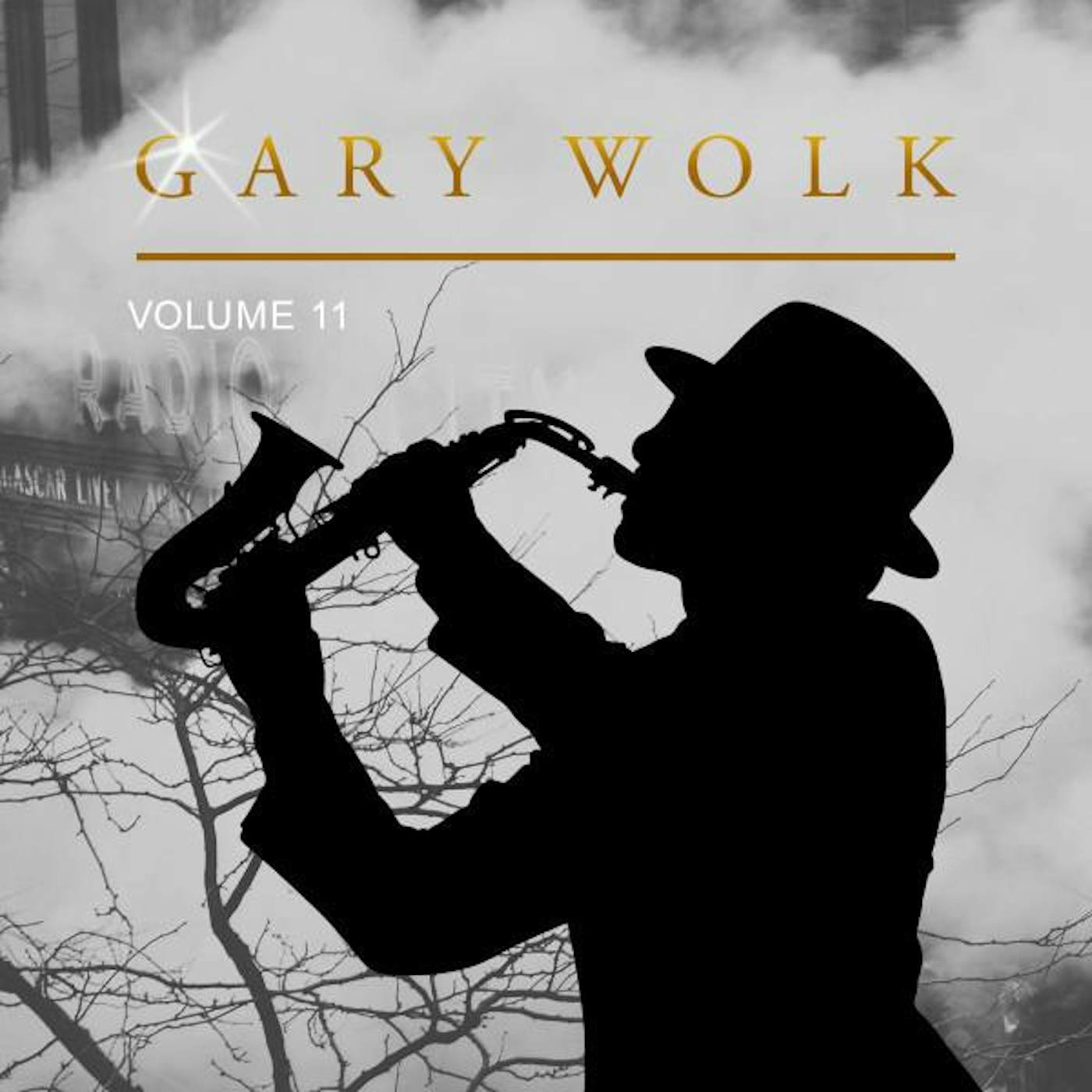 Gary Wolk