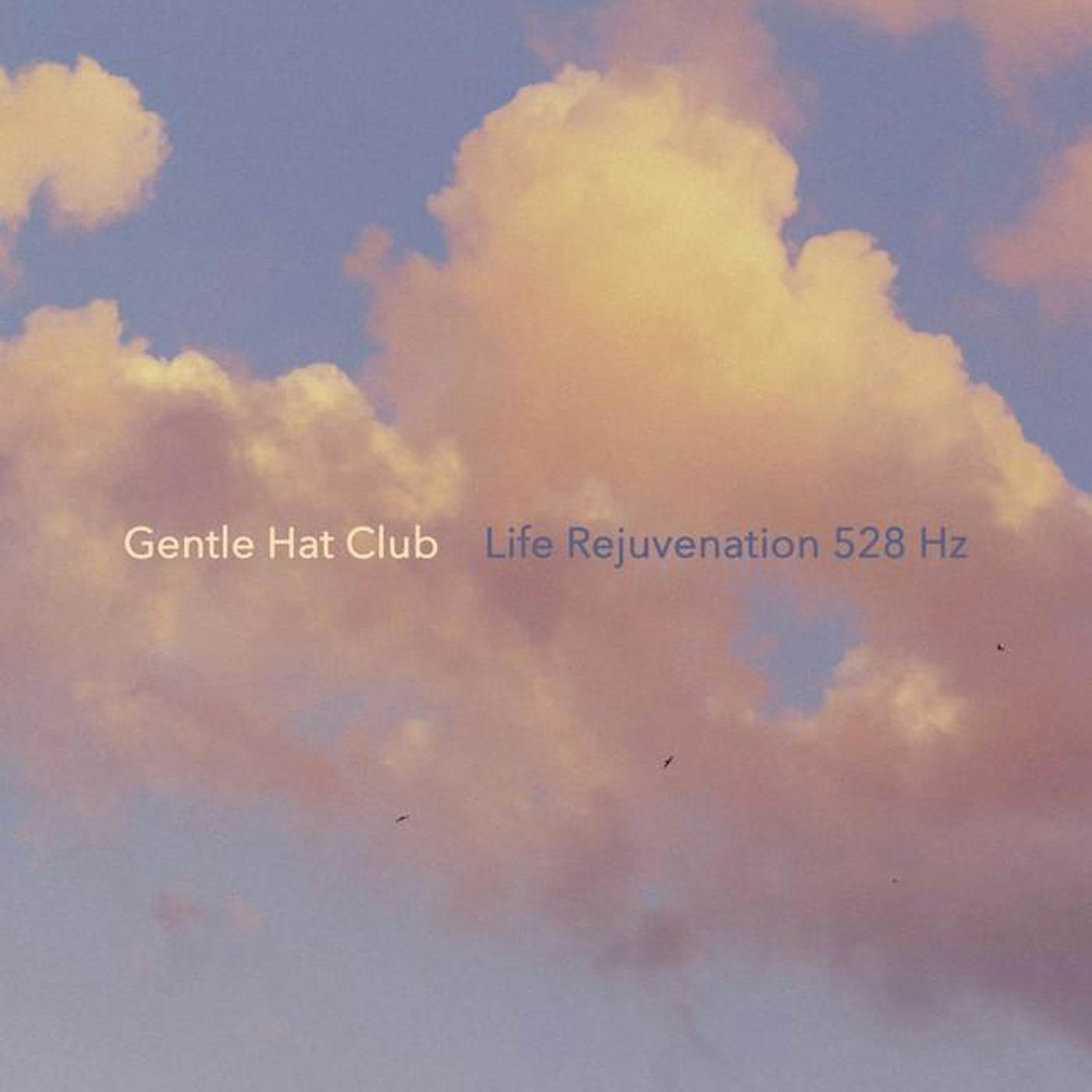 Gentle Hat Club