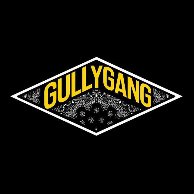 Gully on sale gang merch