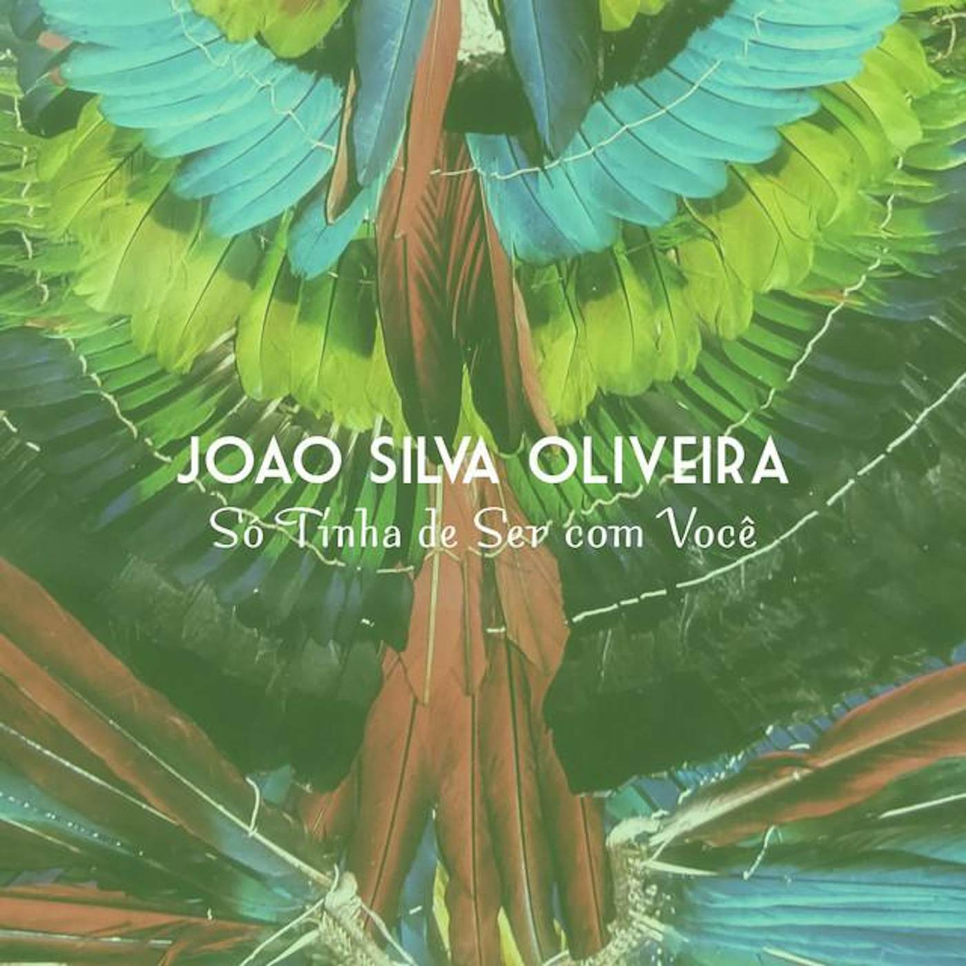 Joao Silva Oliveira