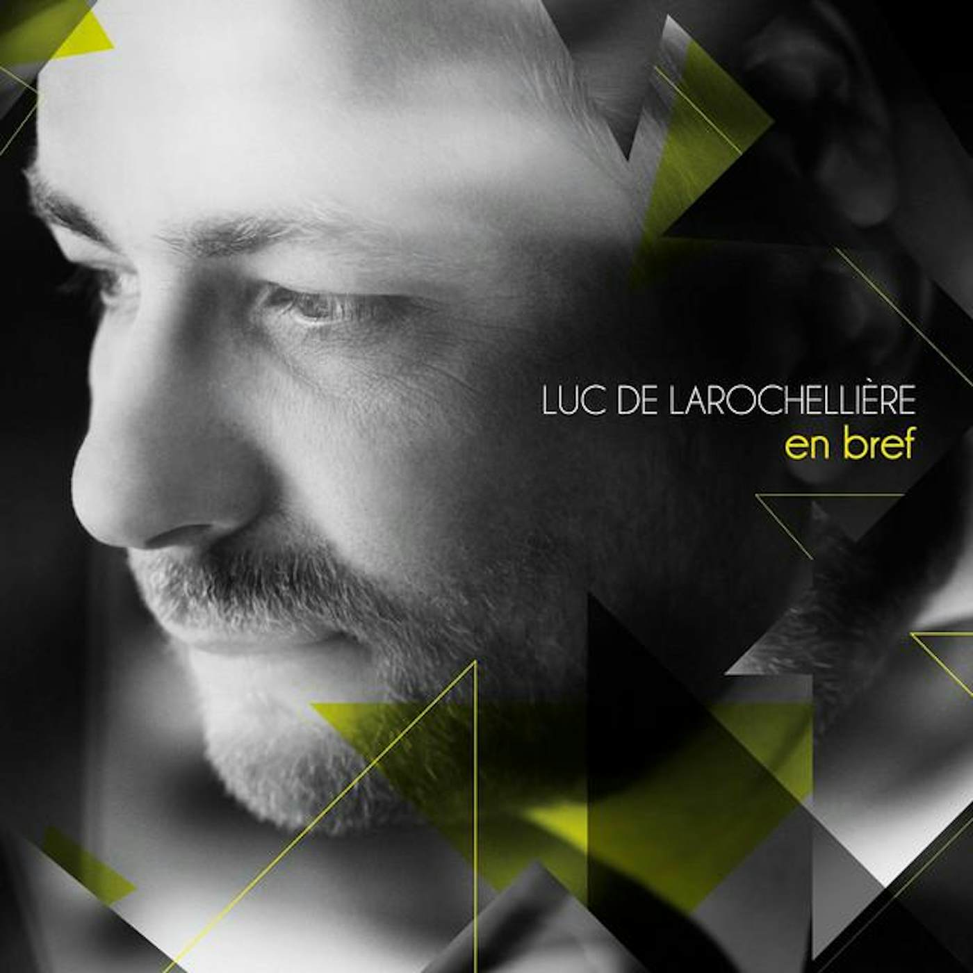Luc De Larochellière