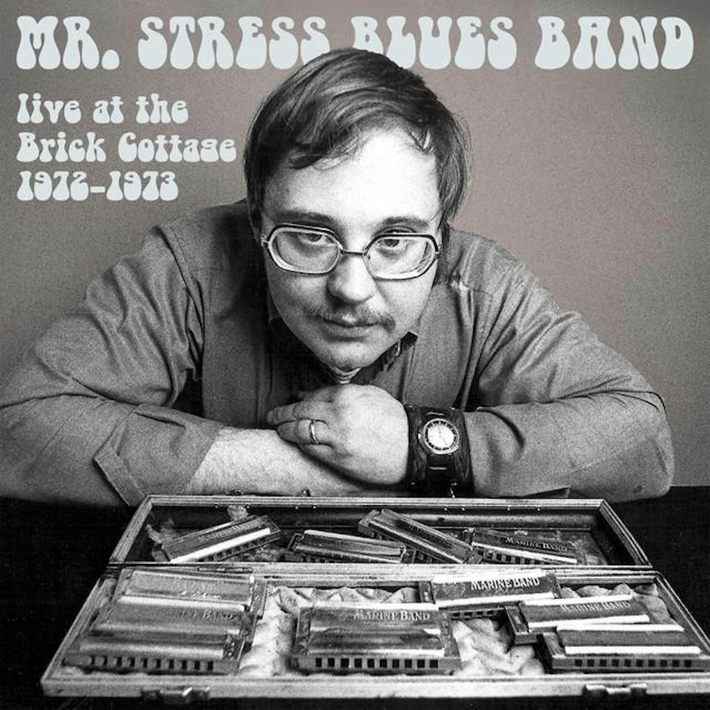 Mr Stress Blues Band