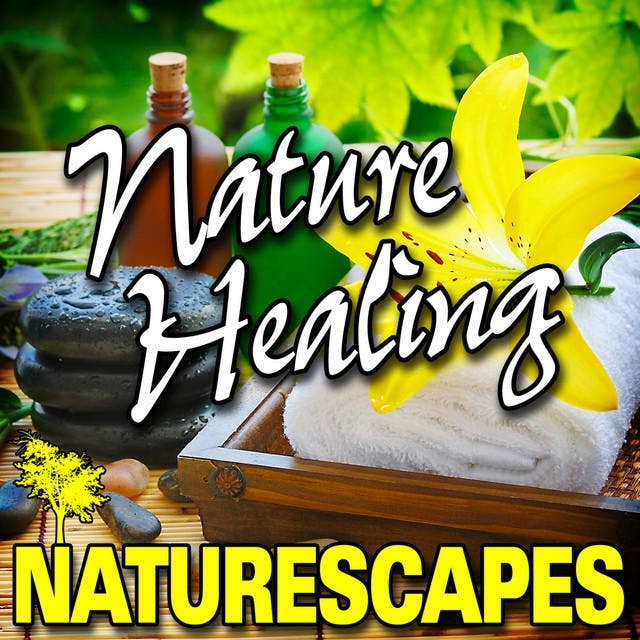 Naturescape Store Official Merch & Vinyl