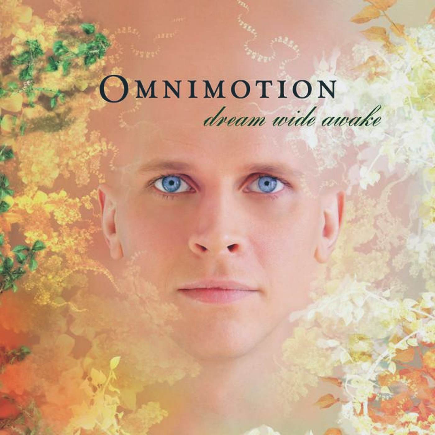Omnimotion