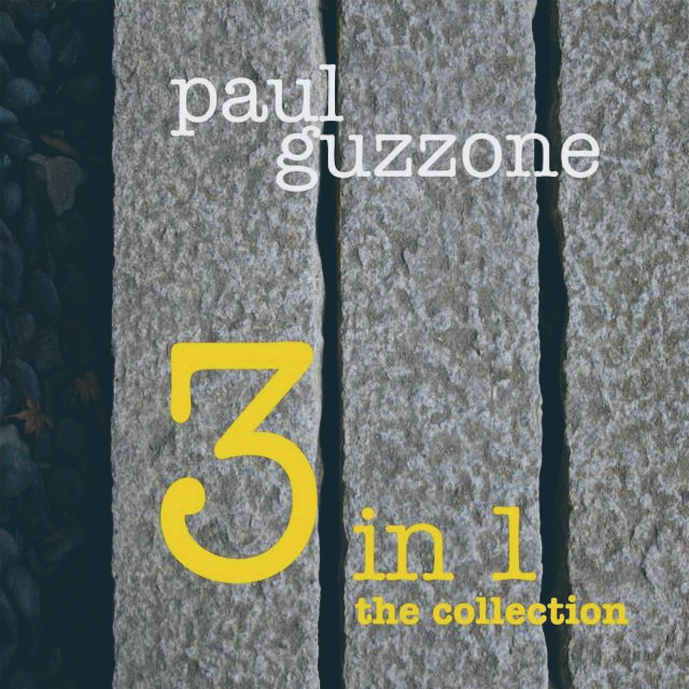 Paul Guzzone