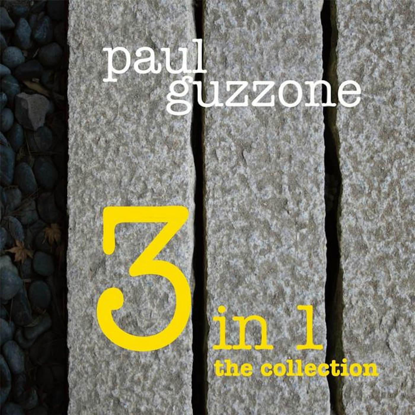 Paul Guzzone