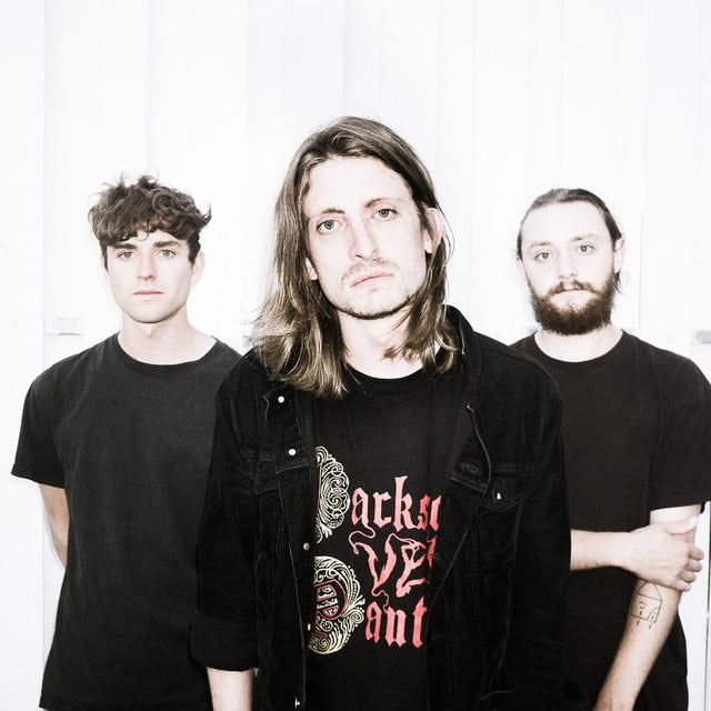 Poisonous Birds Store Official Merch & Vinyl