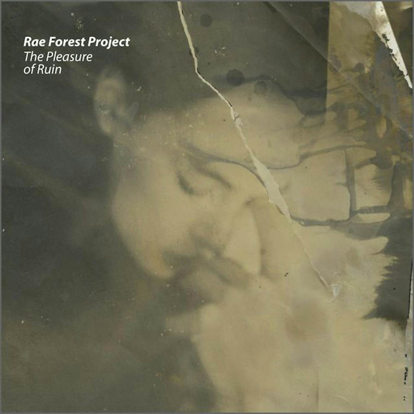 Rae Forest Project