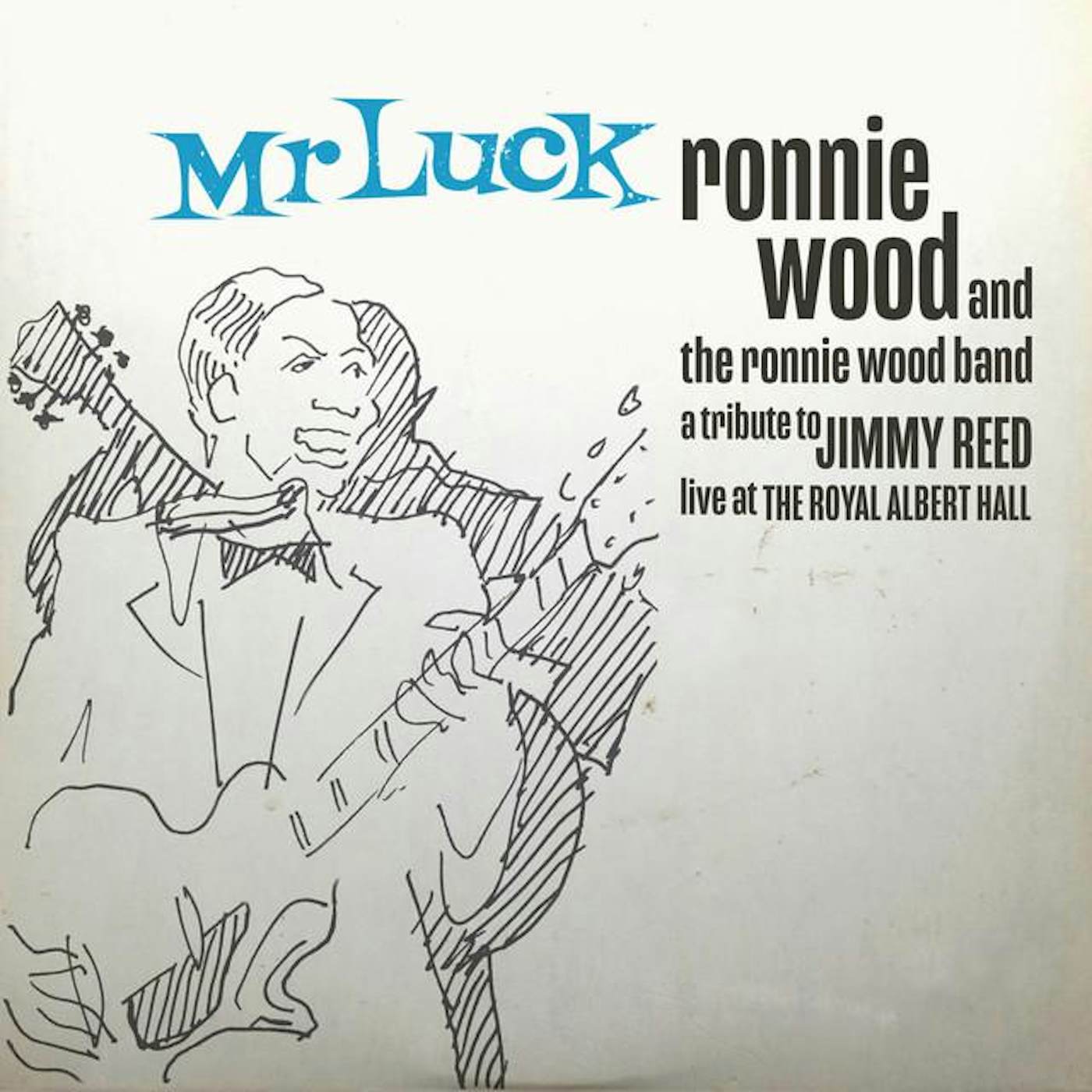 The Ronnie Wood Band