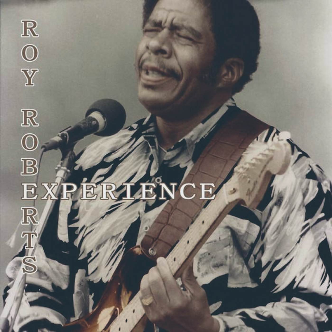 Roy Roberts Experience