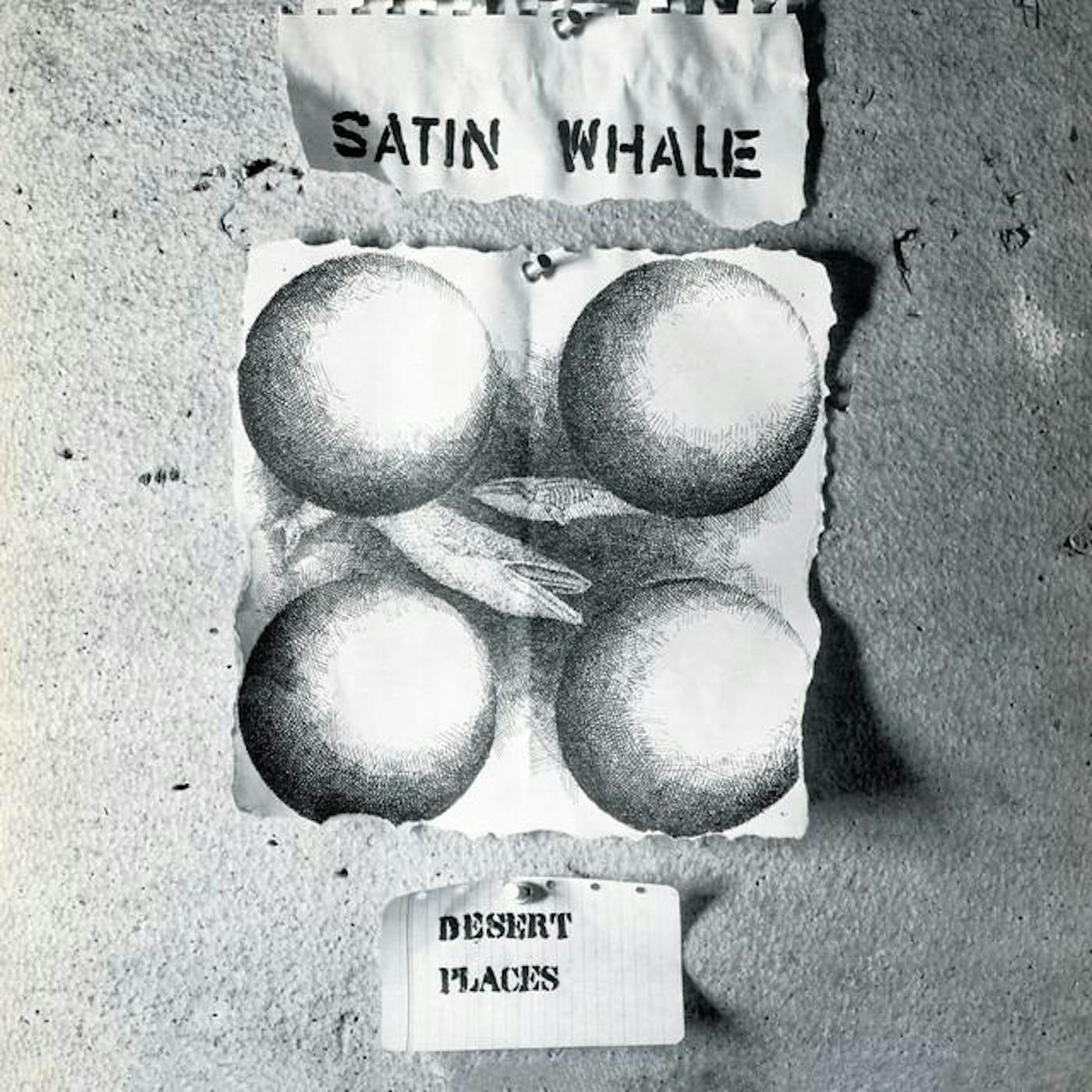 Satin Whale