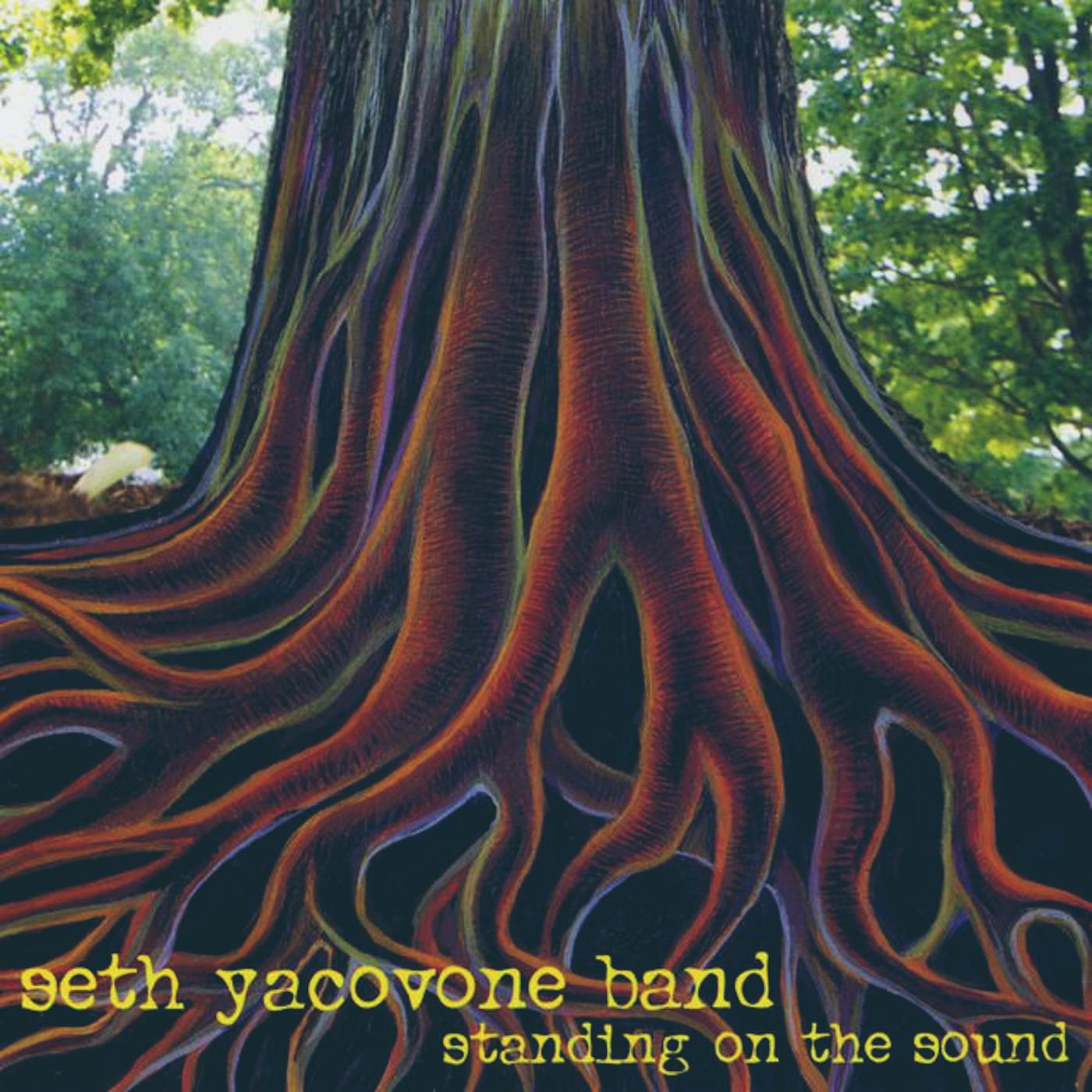 Seth Yacovone Band