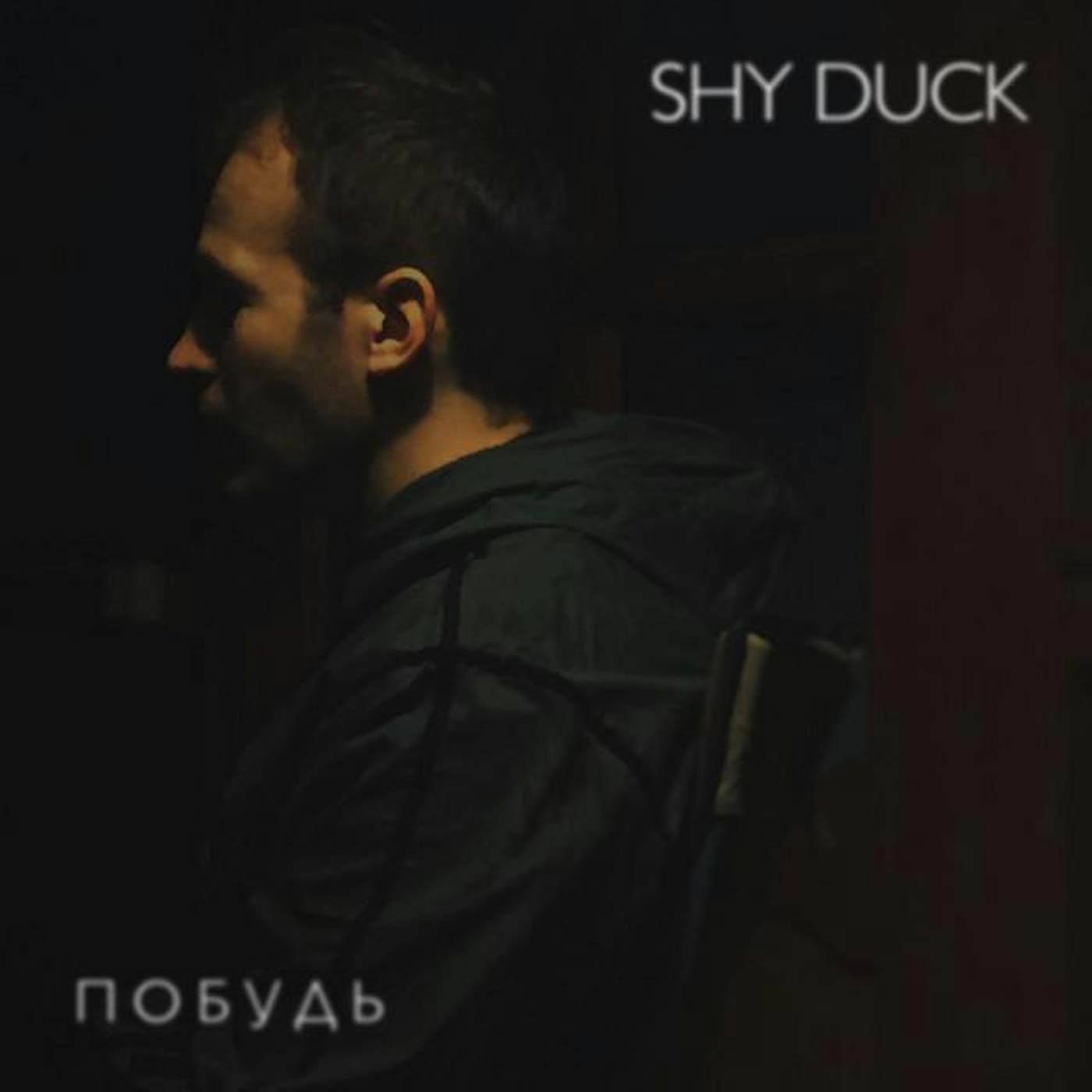 Shy Duck