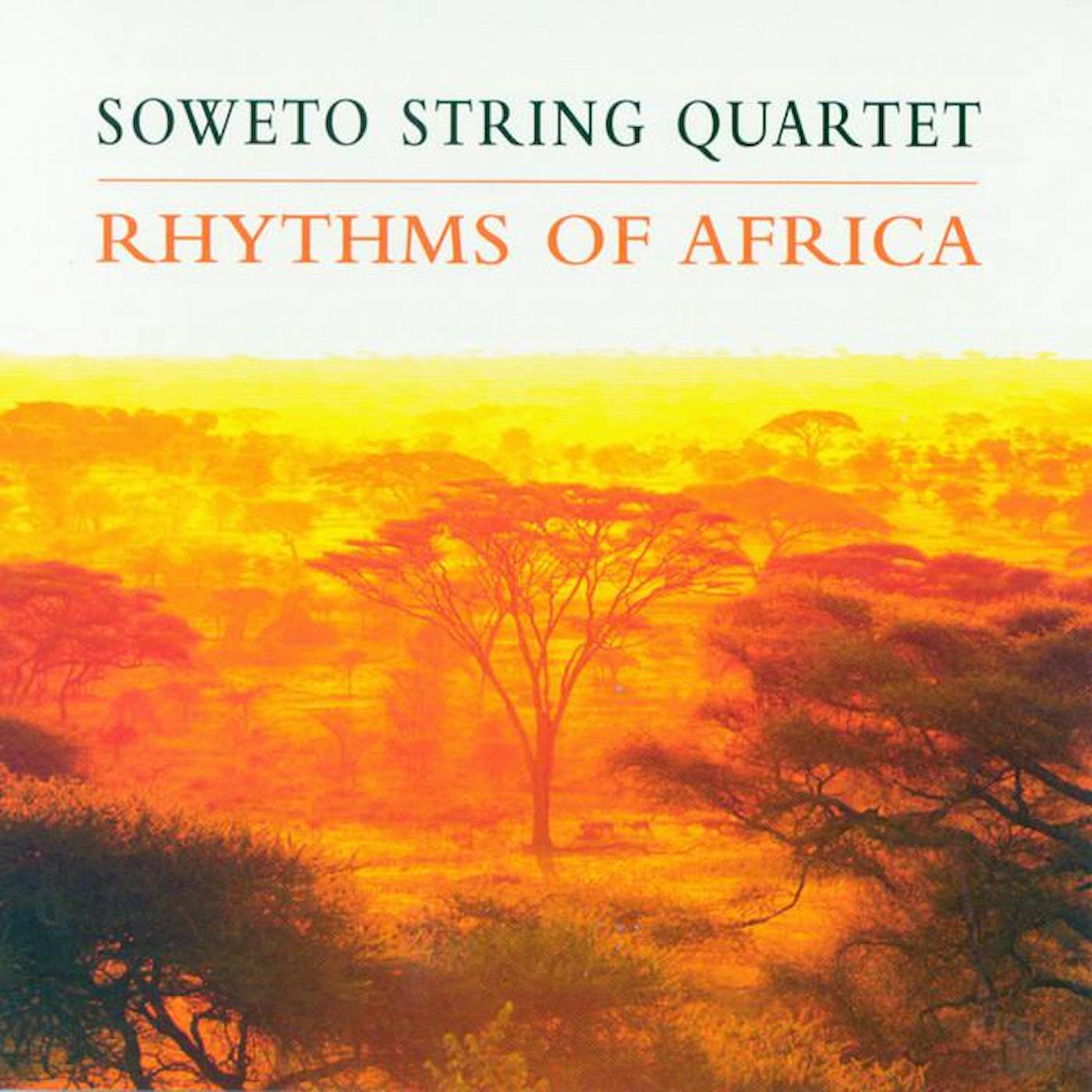 Soweto String Quartet