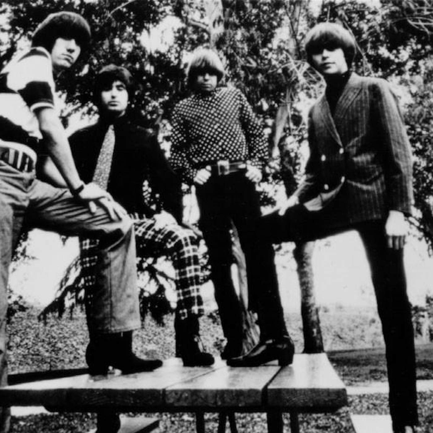 The Standells