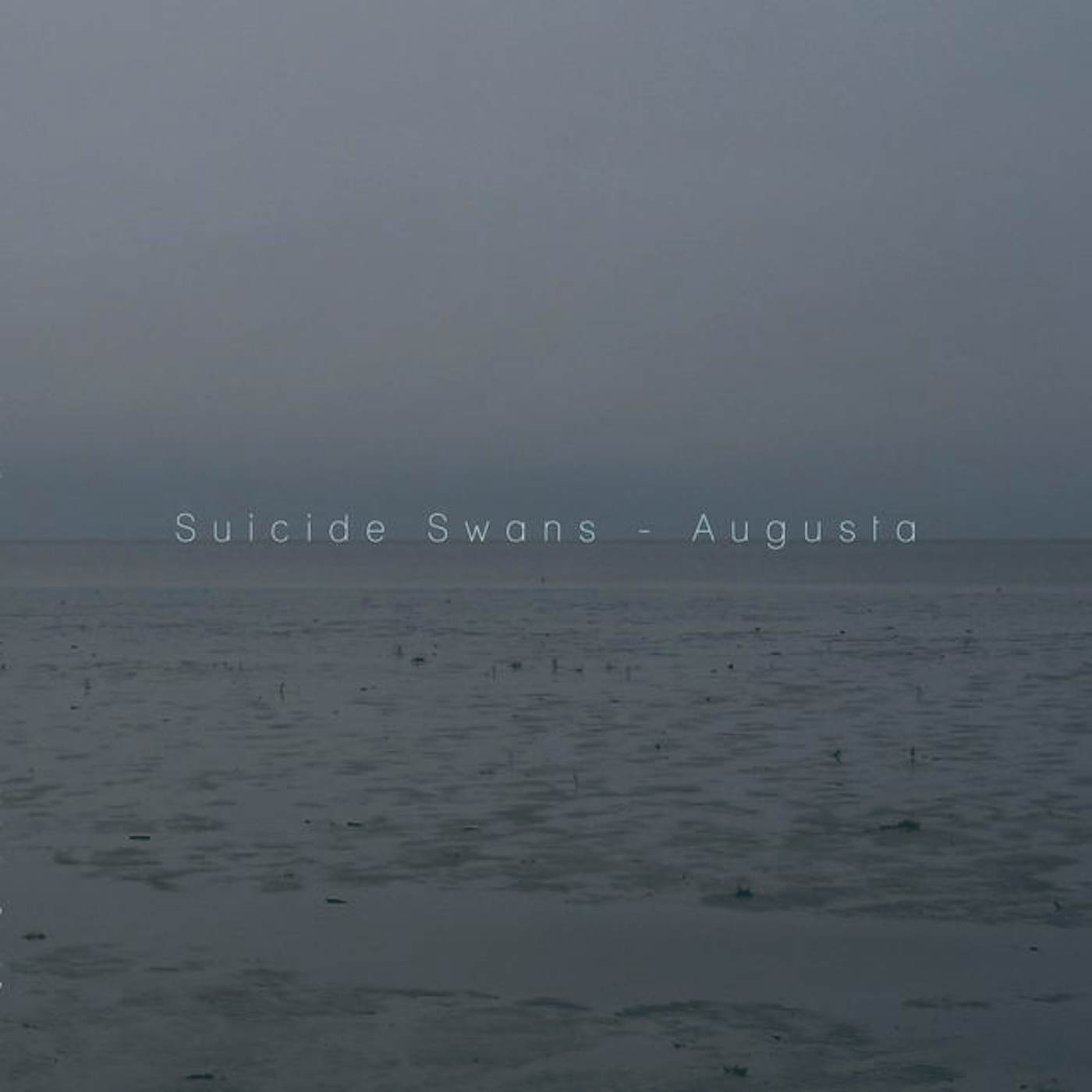 Suicide Swans