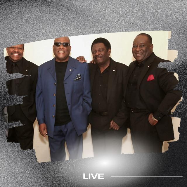 Tabou Combo Store Official Merch & Vinyl