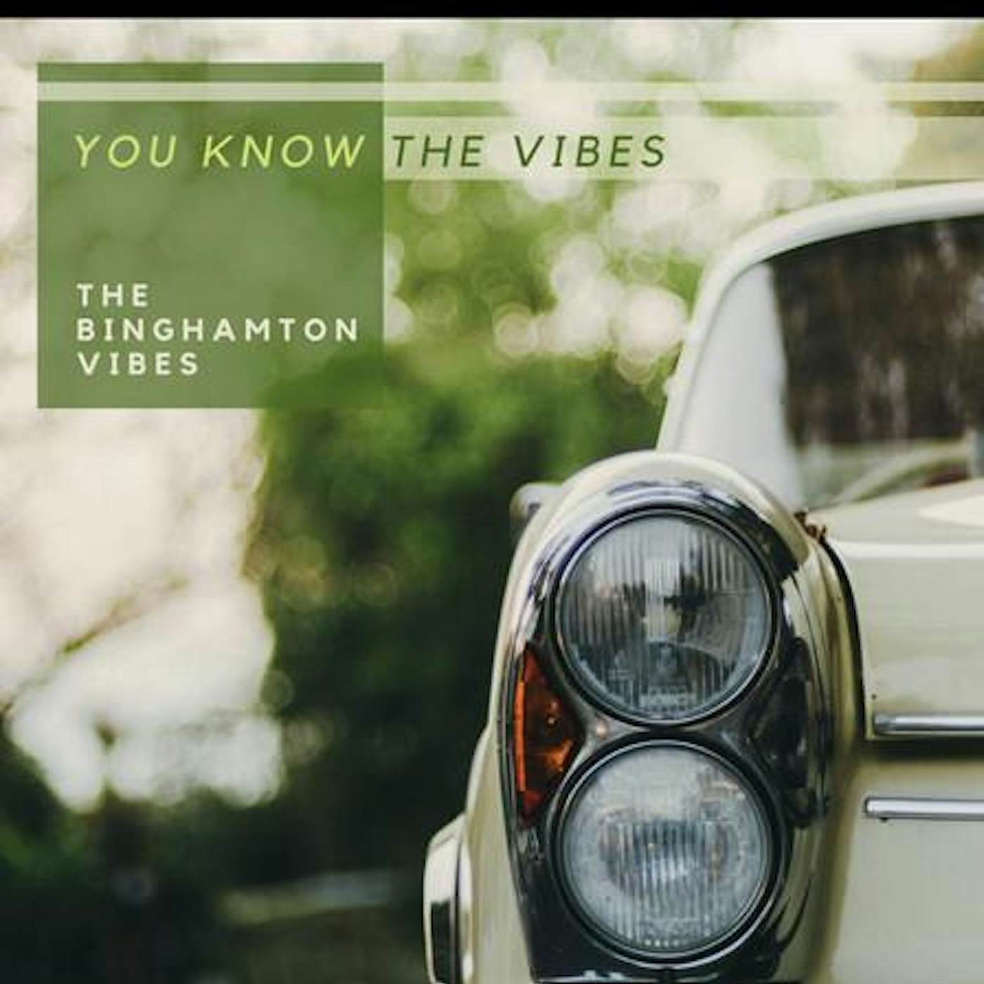 The Binghamton Vibes